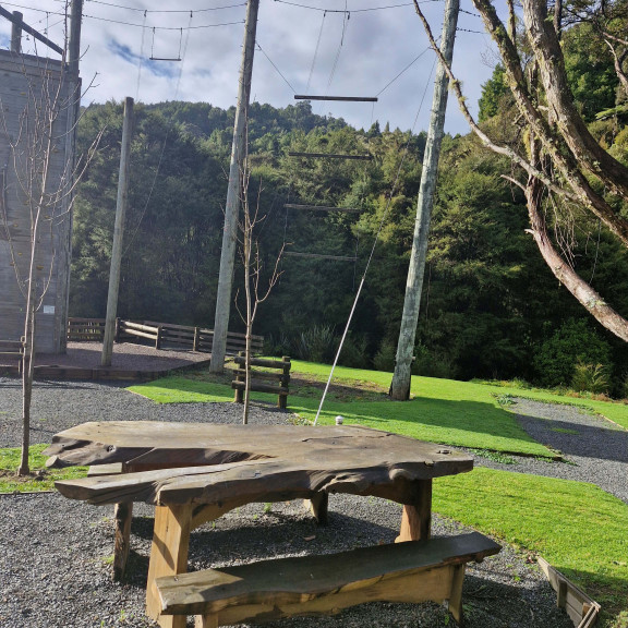 Part of our expansive grounds showing part of the High Ropes Course